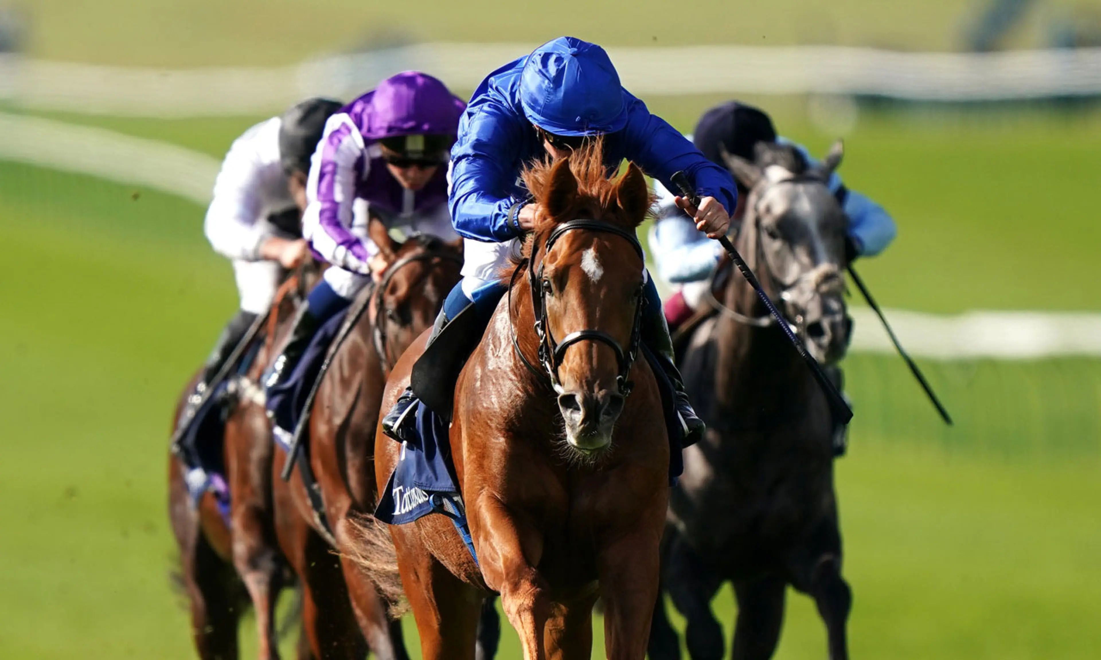Modern Games, Lockinge Stakes betting odds, horse racing