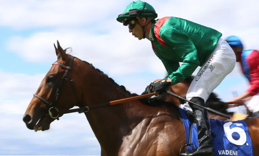 Vadeni, Prix de l’Arc de Triomphe, horse racing