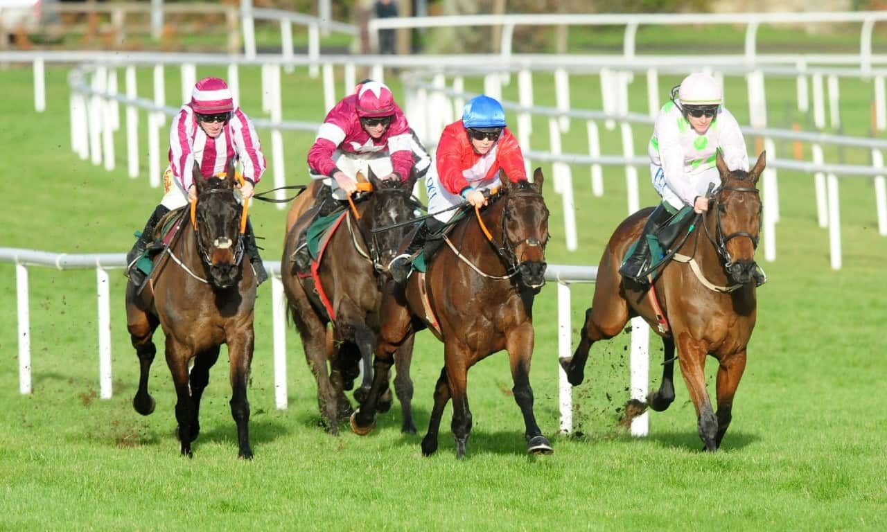 Irish racing Christmas guide