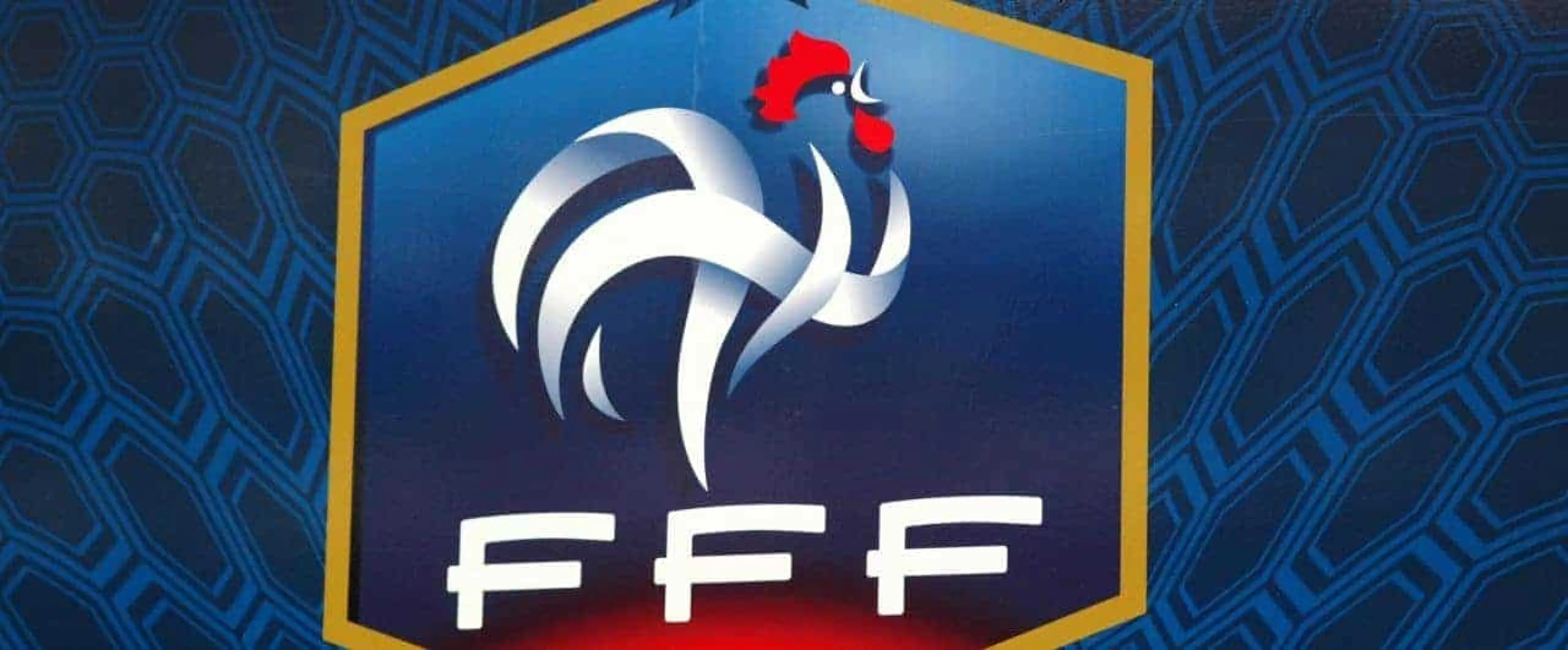 French Football Federation