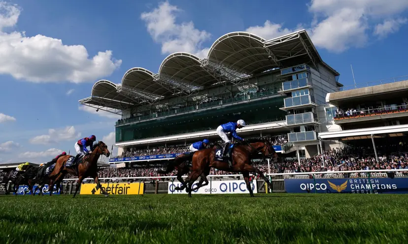 Guineas trends, Newmarket, horse racing