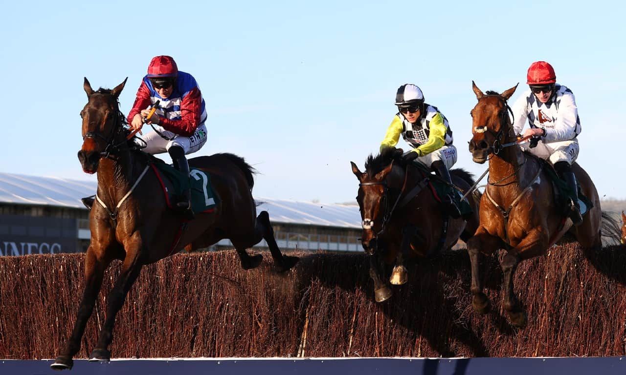 Grand National tips: Escaria Ten fits the Aintree bill