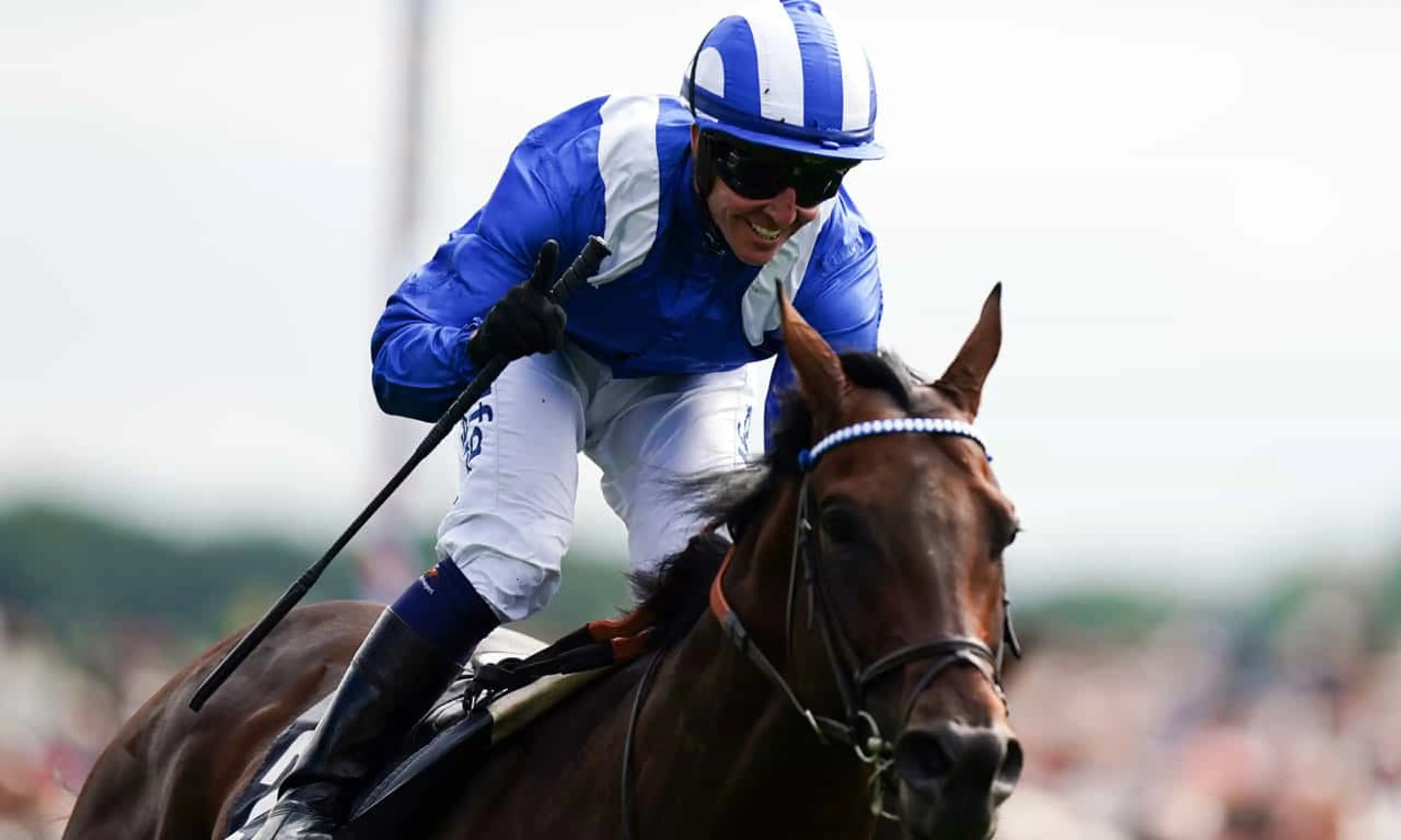Baaeed, Ebor Festival winners, York, horse racing