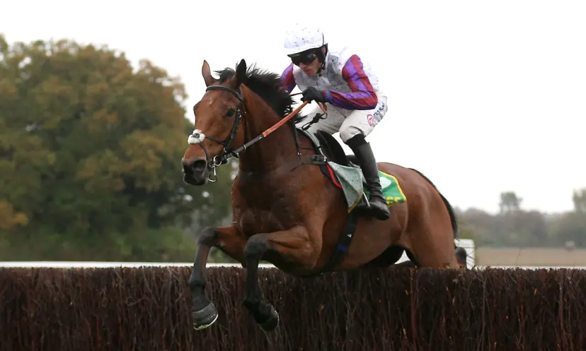 Bravemansgame, ante post betting, horse racing