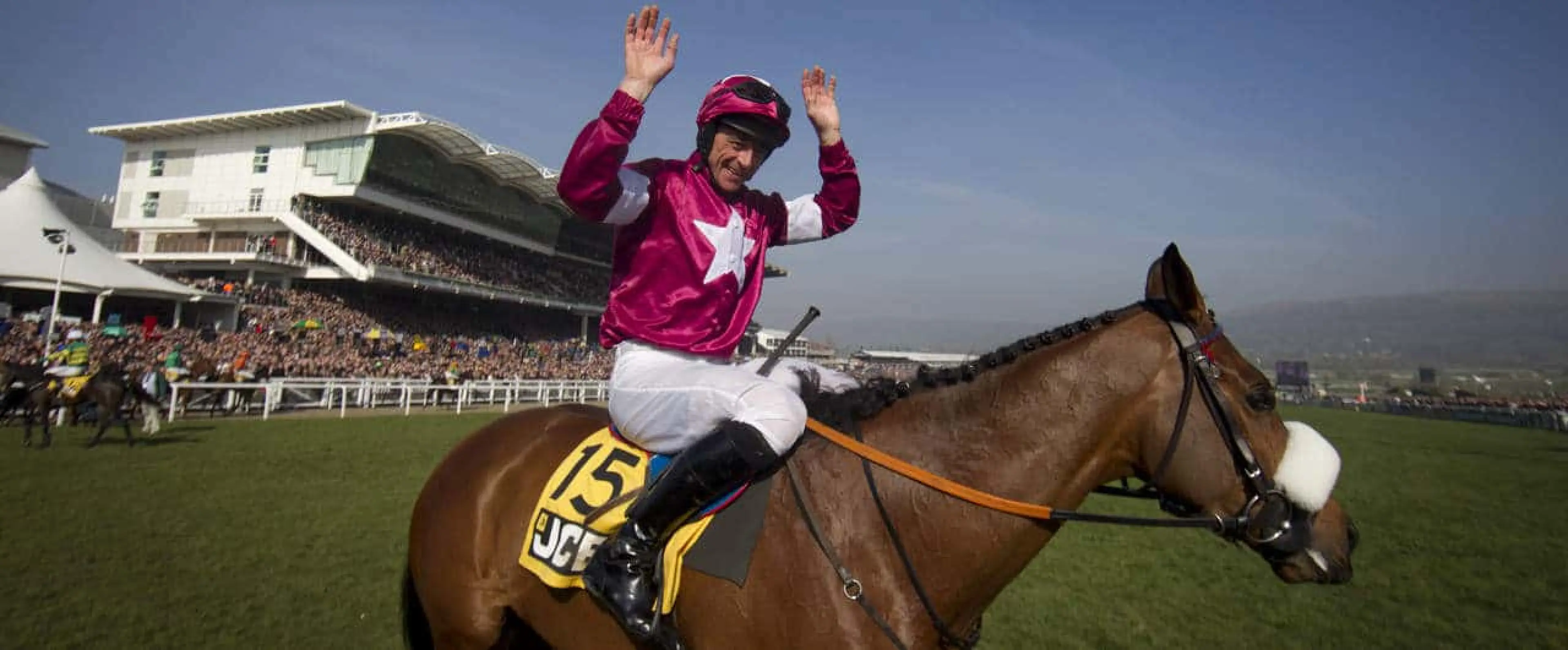 Cheltenham tips for Friday