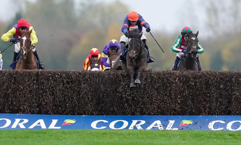 Le Milos, bet365 Premier Chase betting odds, horse racing