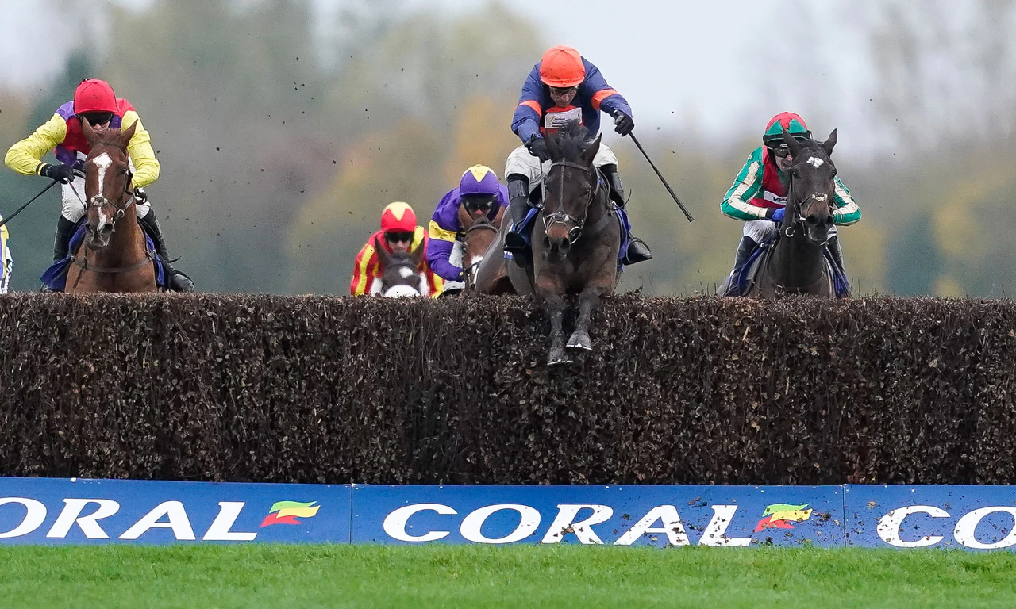 Le Milos, bet365 Premier Chase betting odds, horse racing