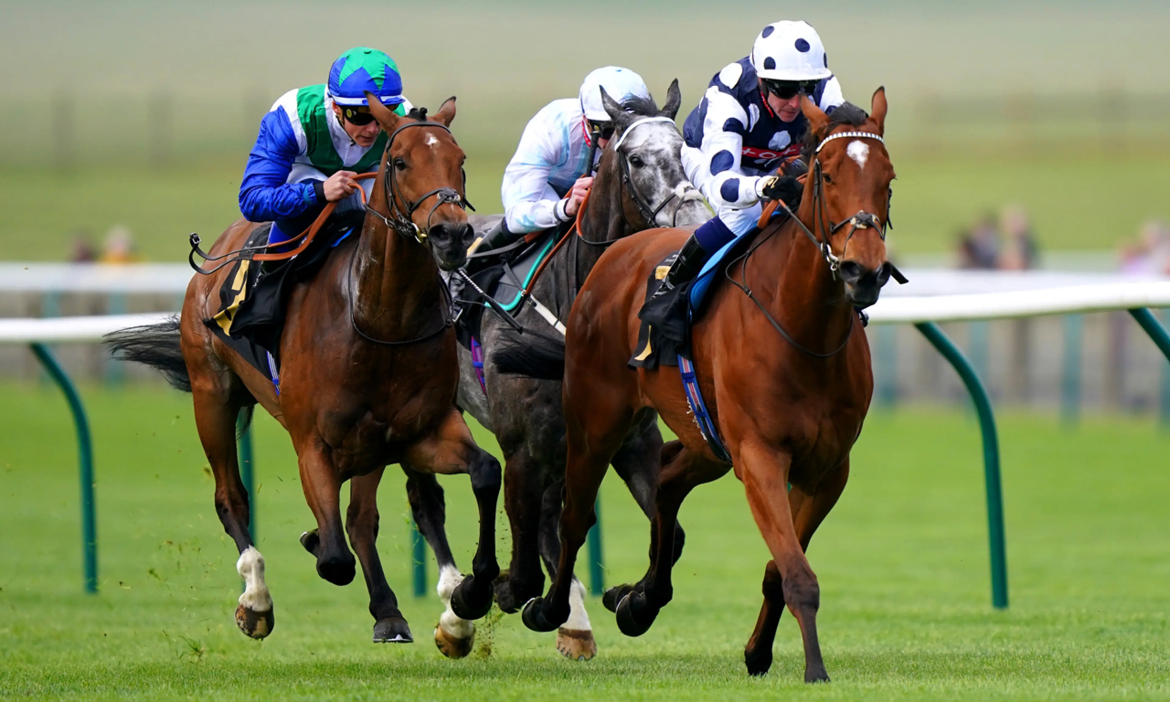Jim Crowley blog, horse racing, Ascot