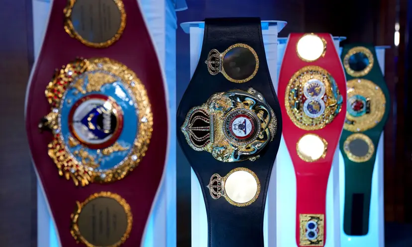 Fury v Usyk betting odds, boxing