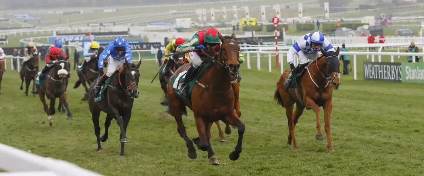 Modys odds appeal ahead of Winter Escape among Greatwood Handicap Hurdle tips offered by Coral experts.