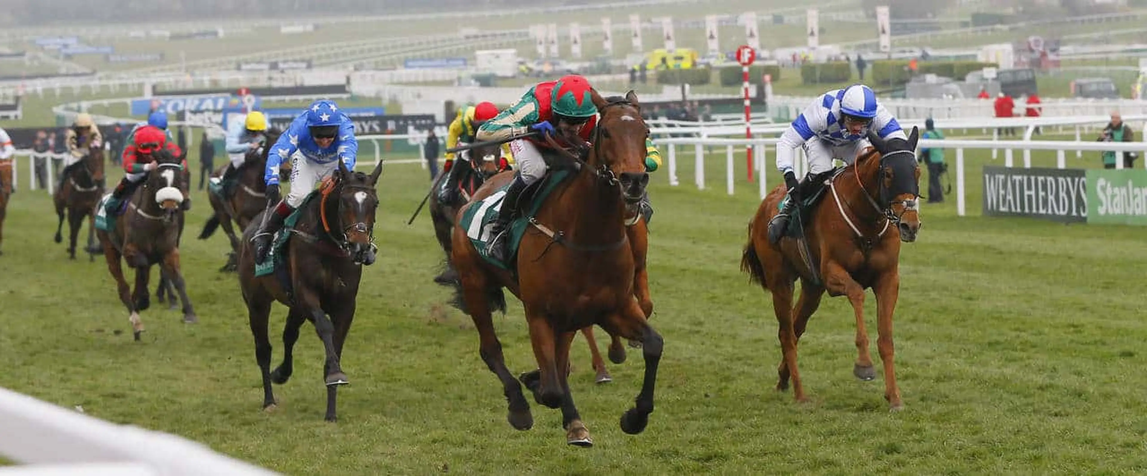 Modys odds appeal ahead of Winter Escape among Greatwood Handicap Hurdle tips offered by Coral experts.