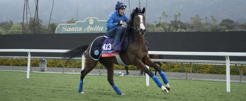 Queen's Trust and Sweet Loretta odds feature among Coral experts' 2016 Breeders' Cup Saturday tips.