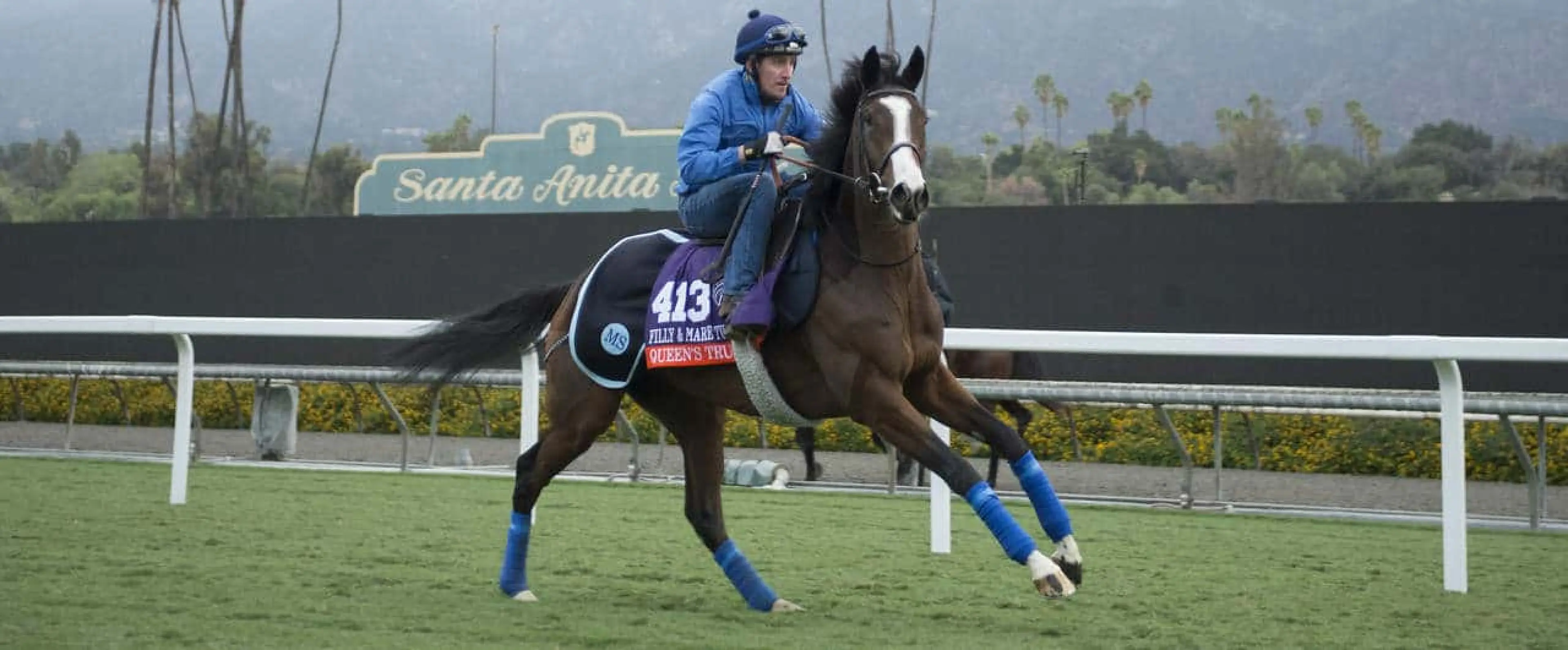 Queen's Trust and Sweet Loretta odds feature among Coral experts' 2016 Breeders' Cup Saturday tips.