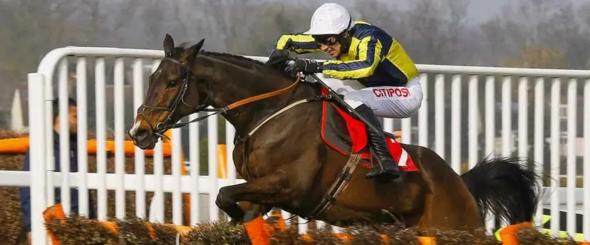 Barney Dwan bets join One Track Mind odds and Giveitachance each-way among Catterick and Wincanton tips for December 13.