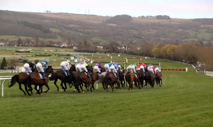 Coral Cup, Cheltenham Festival, horse racing