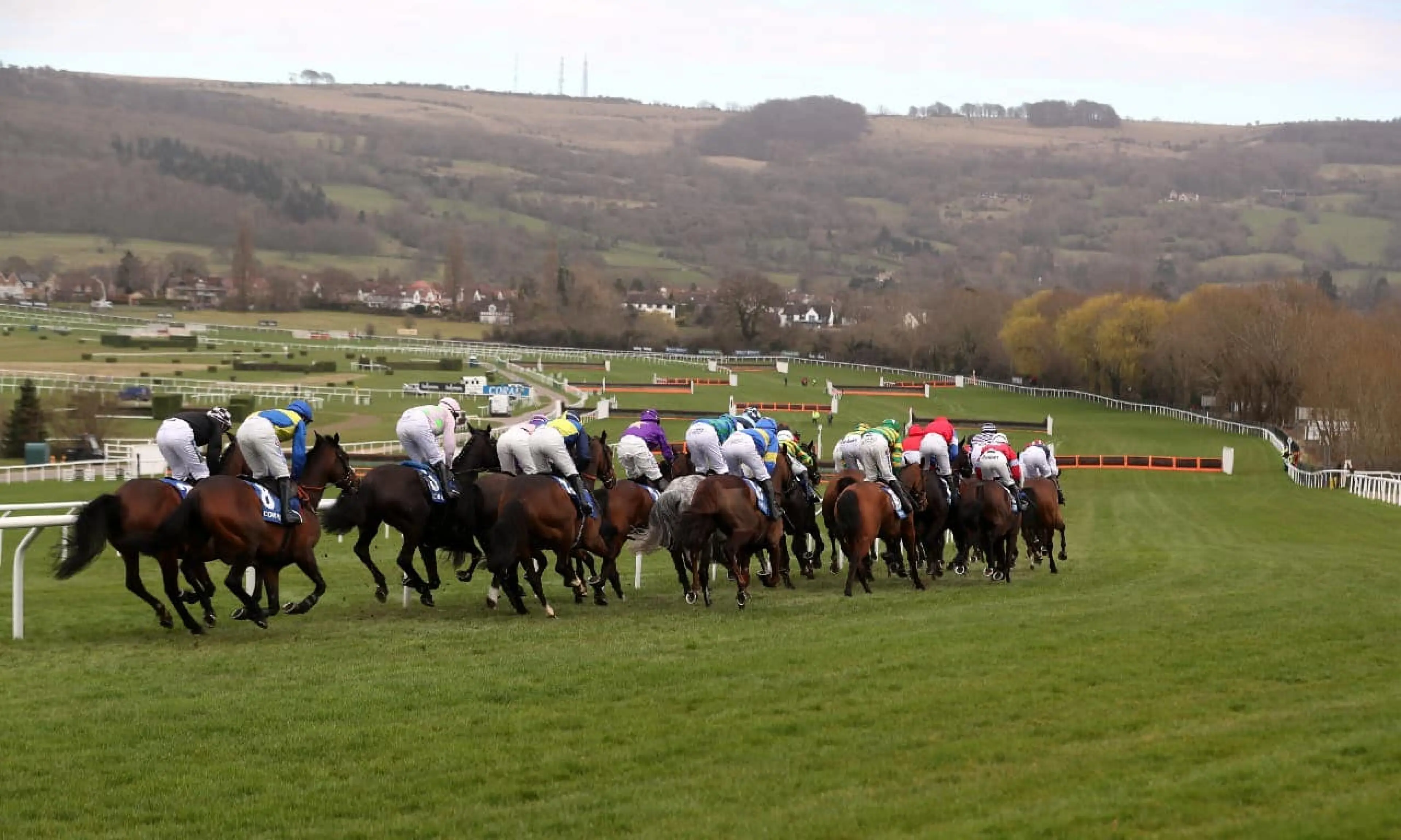 Coral Cup, Cheltenham Festival, horse racing