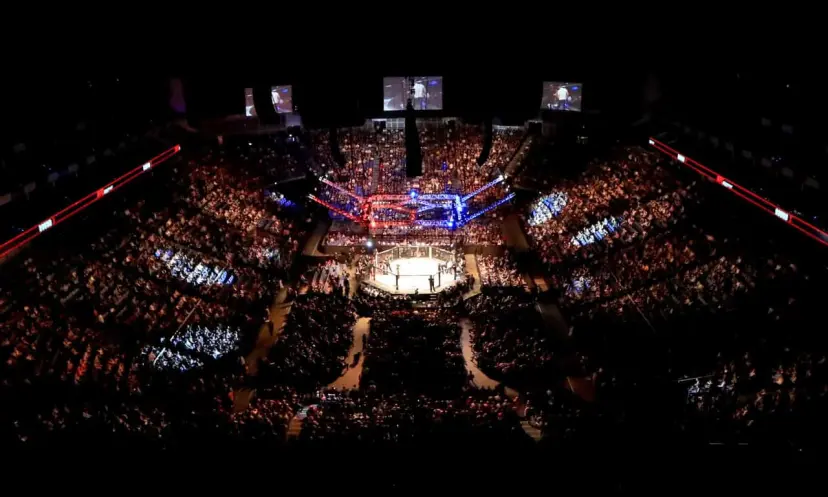 UFC