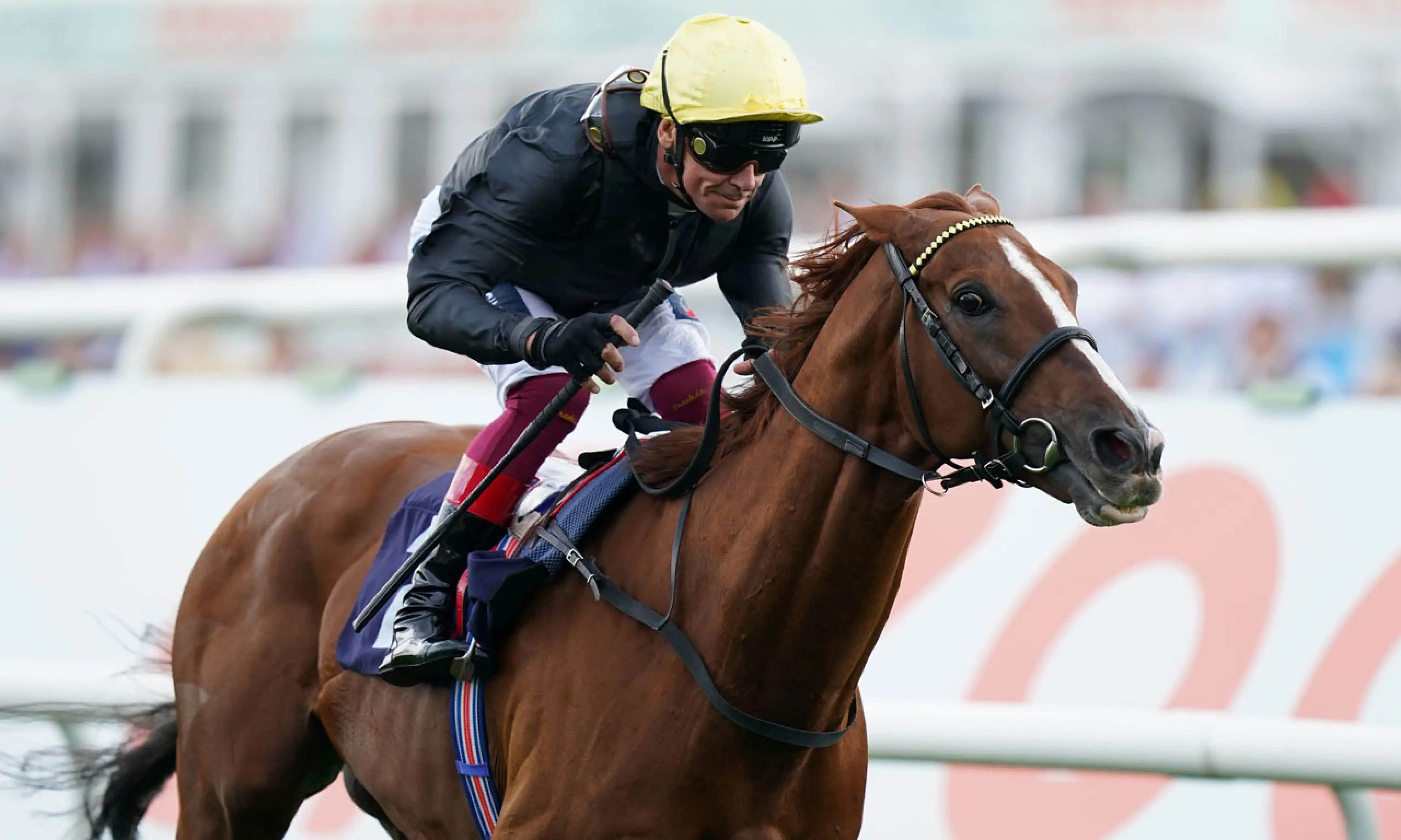 racehorse Stradivarius