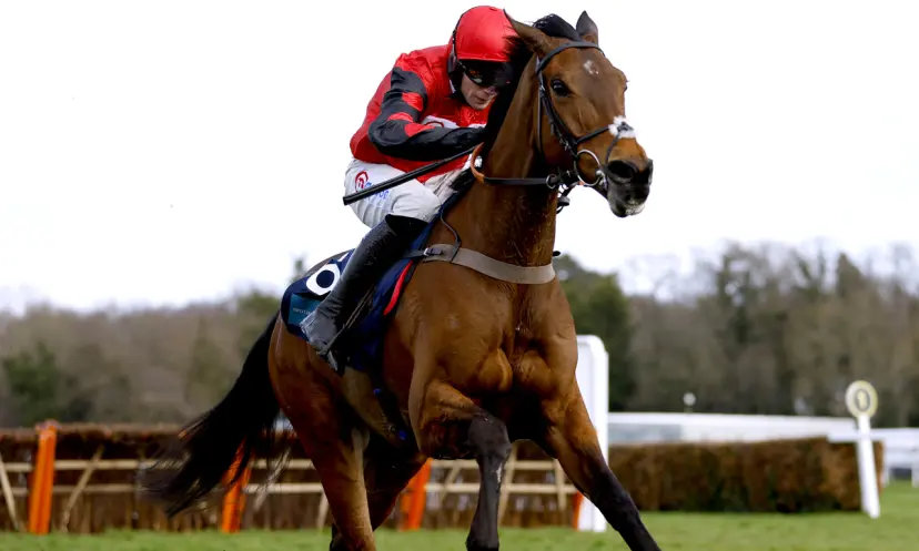 Complete Unknown, Coral Gold Cup, Newbury