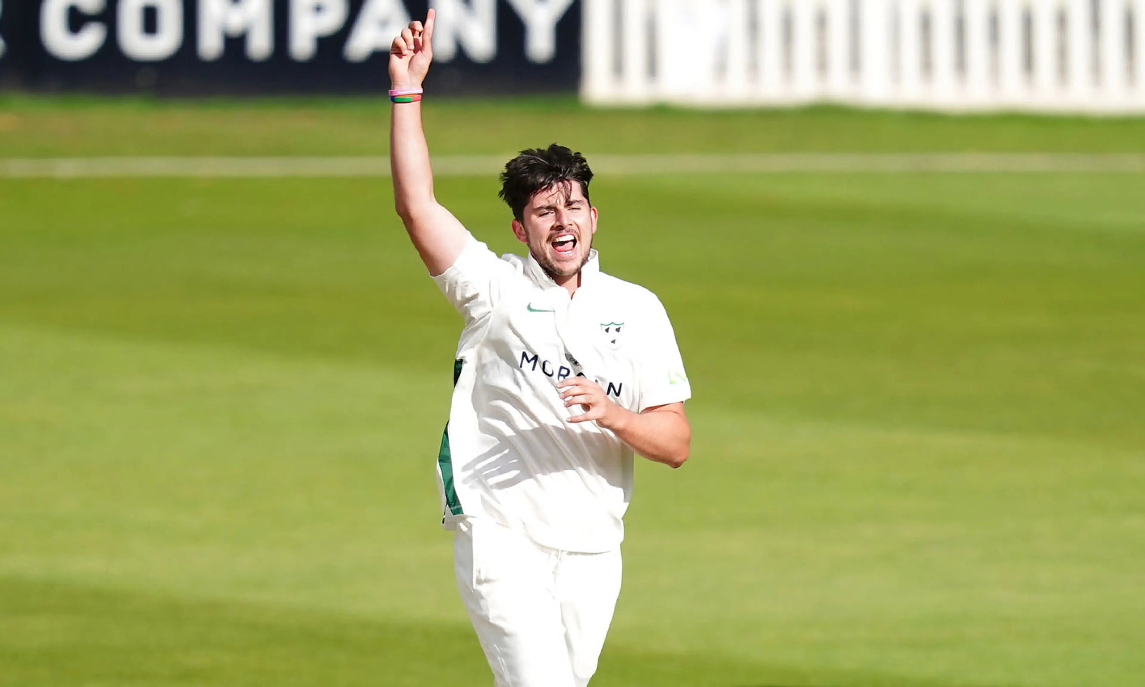 Josh Tongue, cricket
