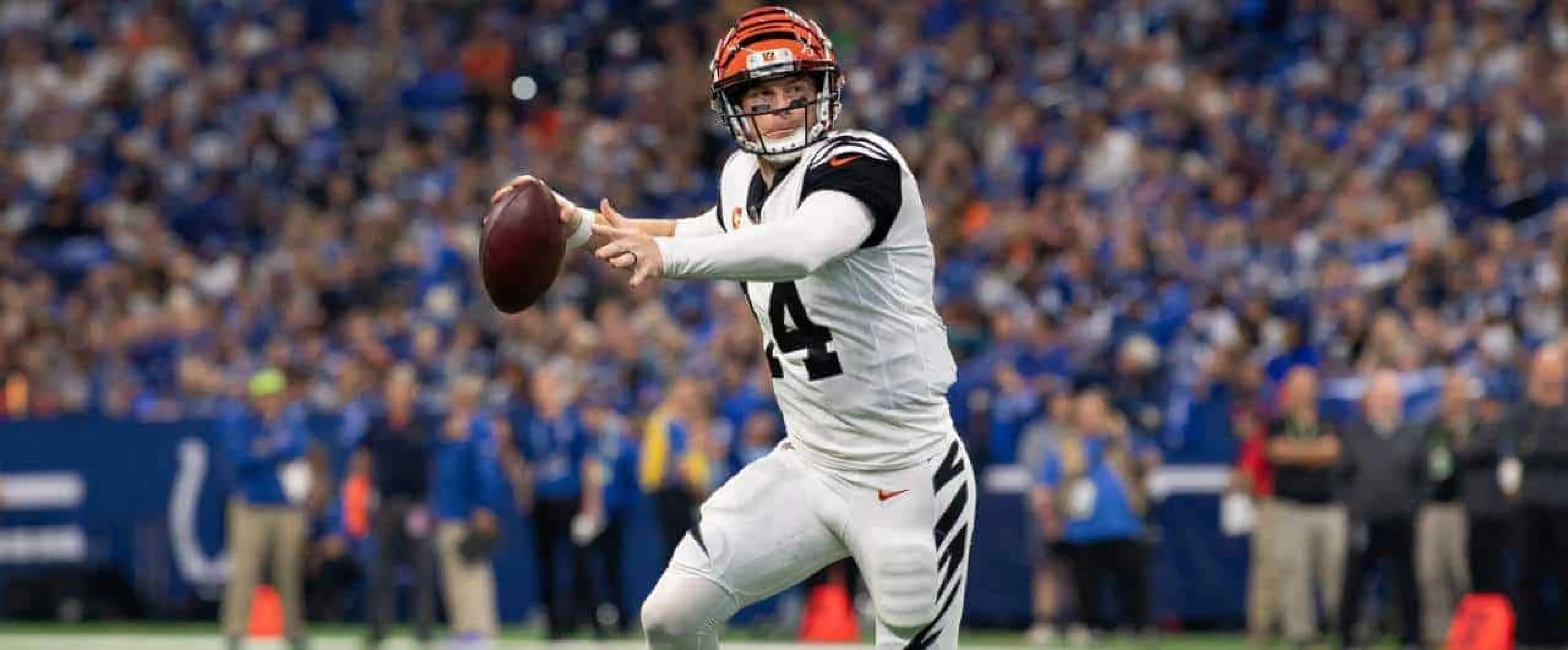 Andy Dalton - Cincinnati Bengals