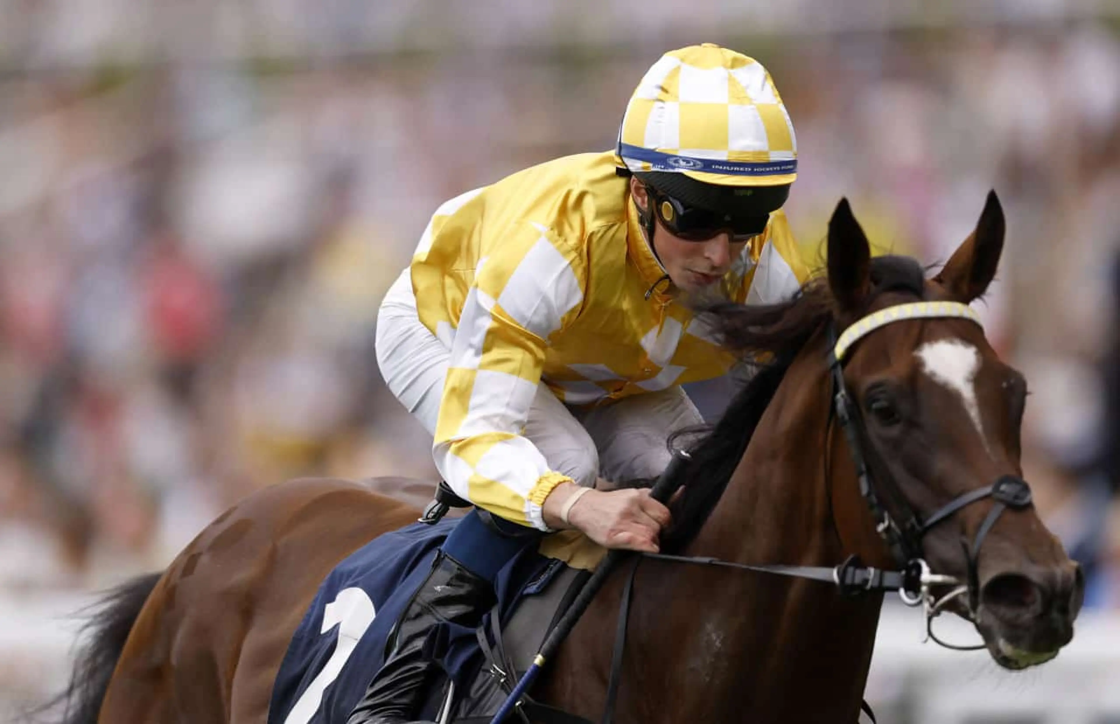 Hoo Ya Mal, St Leger Festival, Doncaster, horse racing