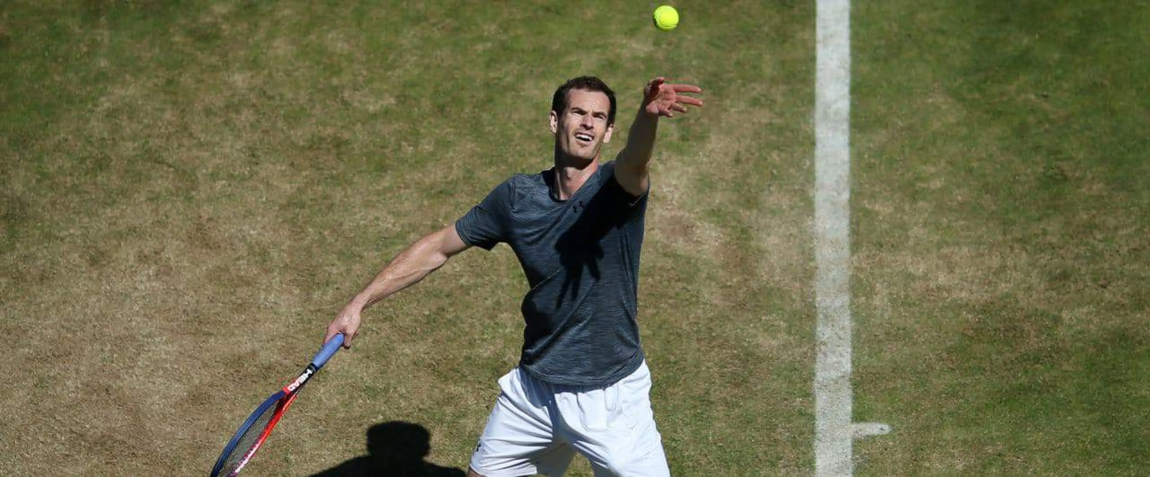 Andy Murray Tennis