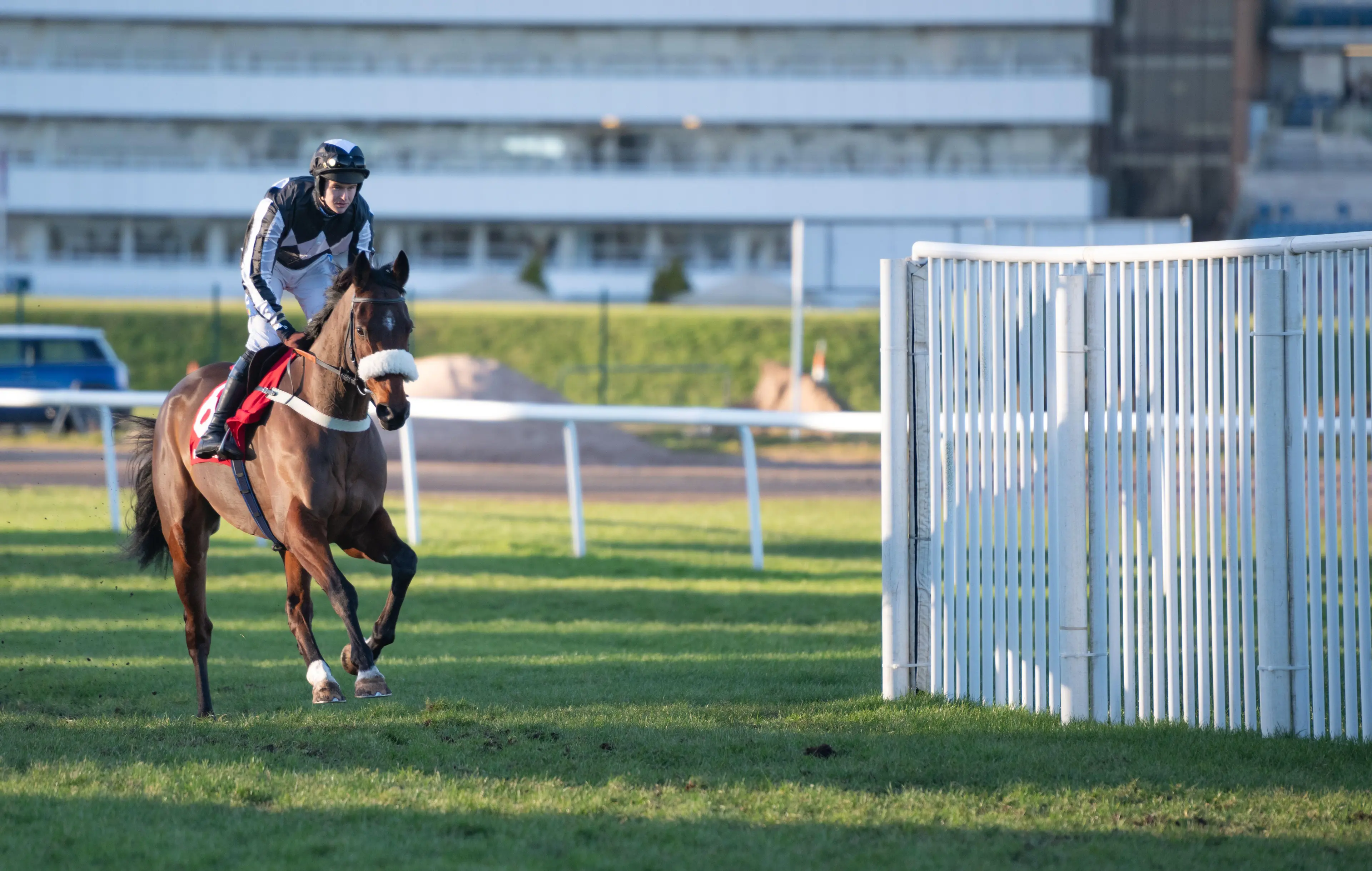 The Changing Man and Brendan Powell head to the start of the Great Yorkshire Chase