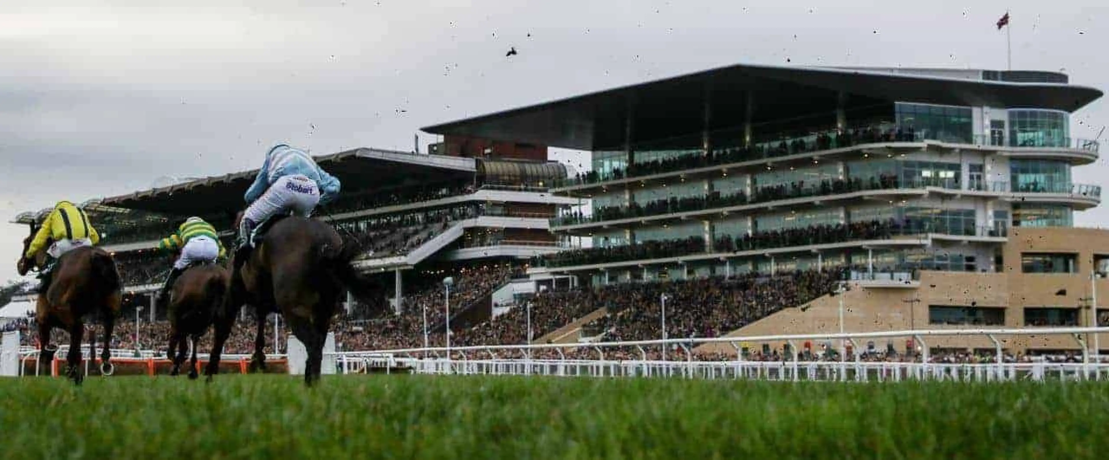 Cheltenham