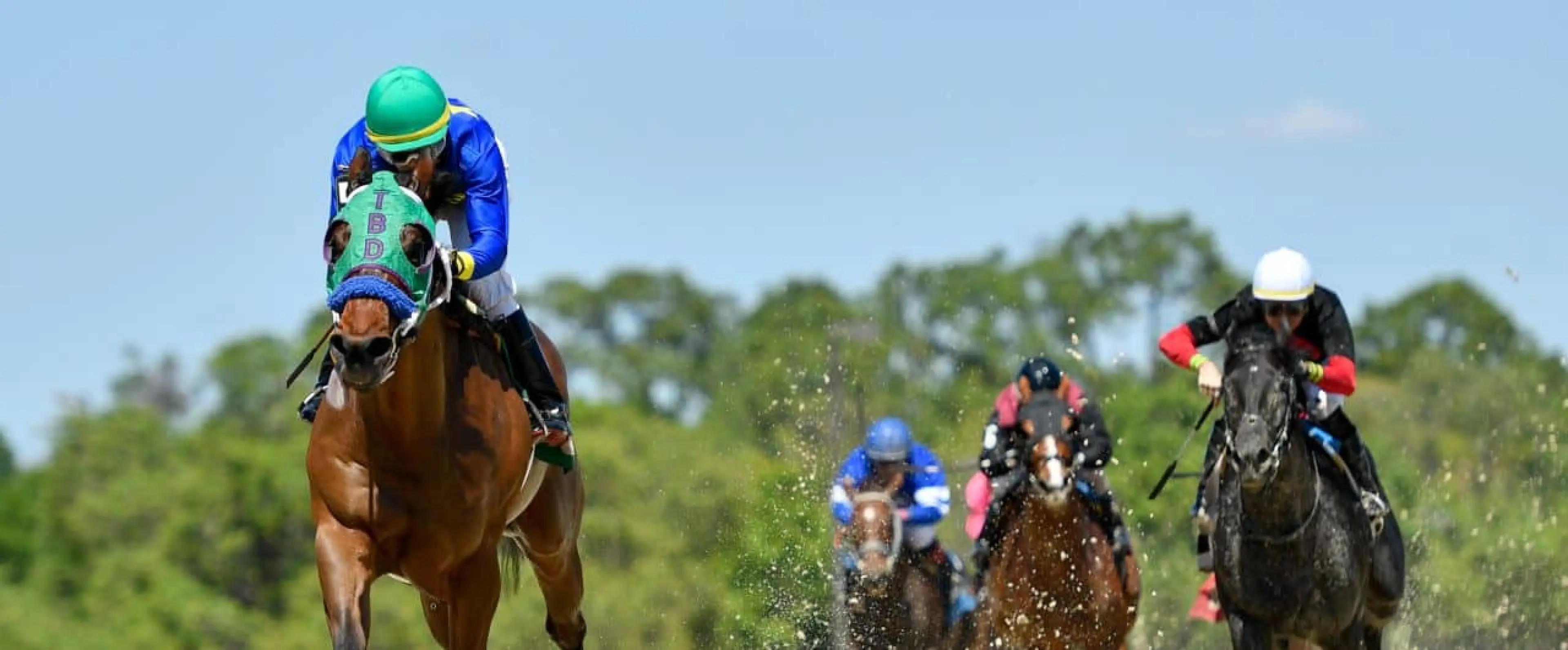 Tampa Bay Downs