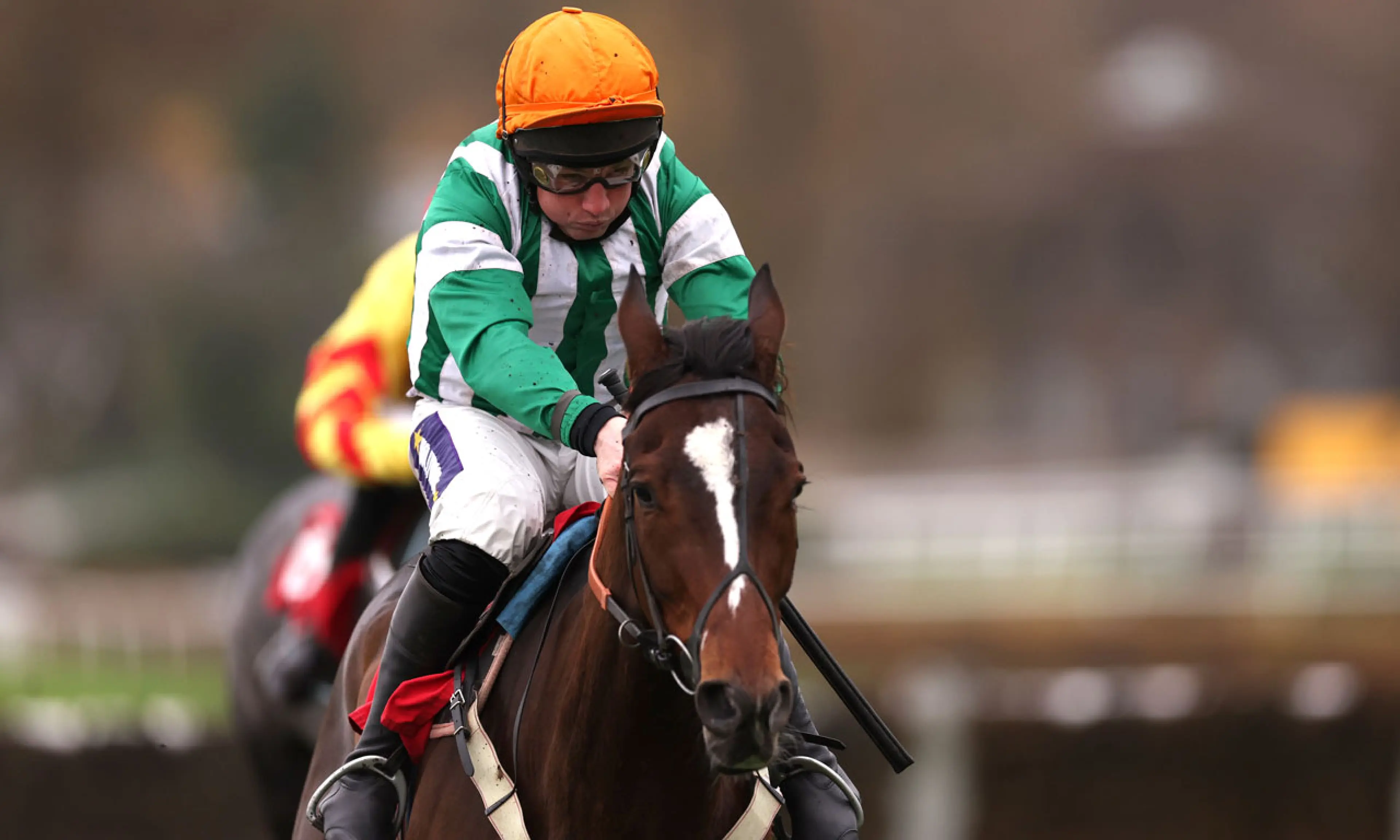 Authorised Speed, Tolworth Novices’ Hurdle betting odds, horse racing