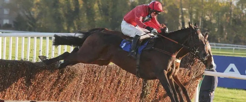 Wetherby best bets