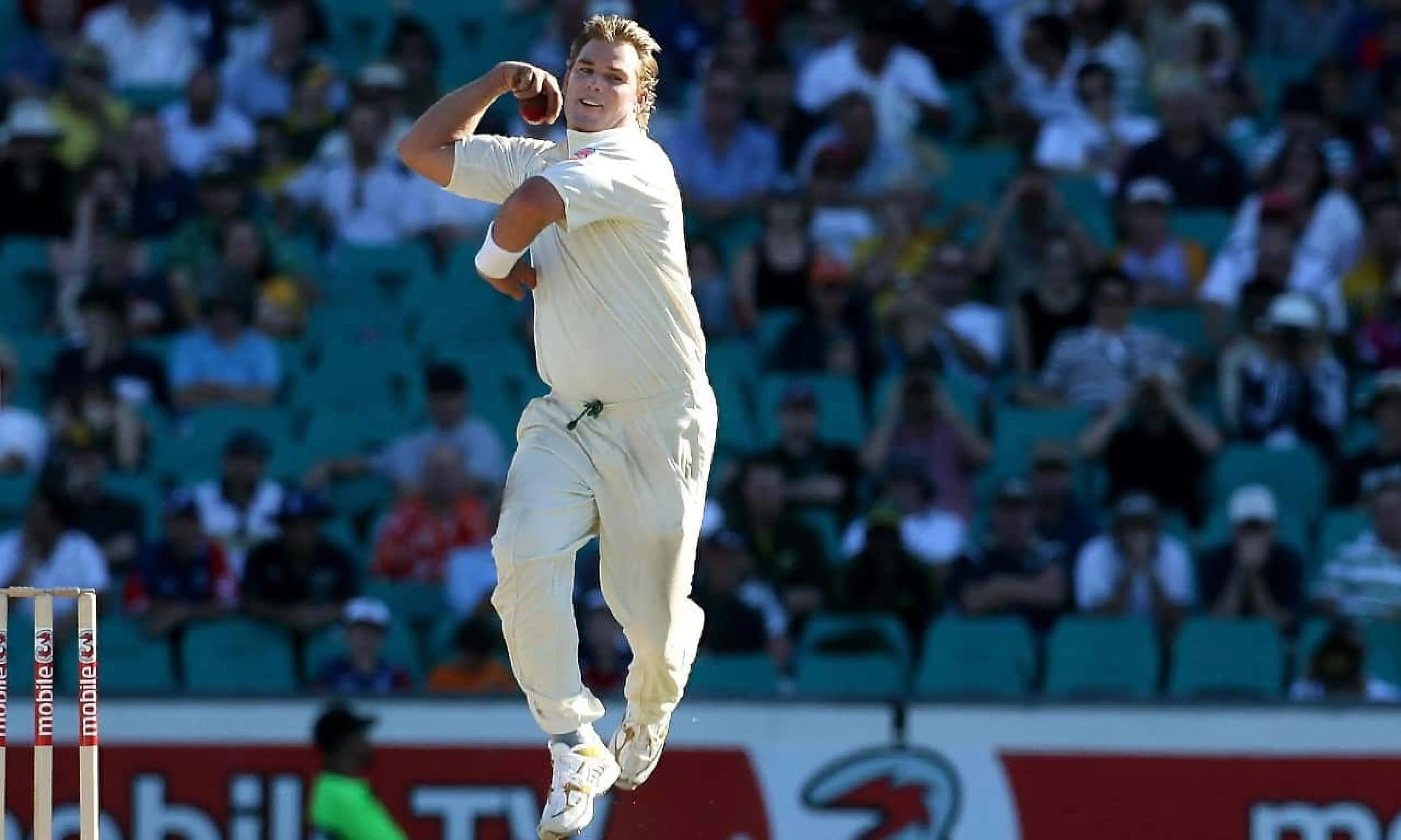 Shane Warne, cricket