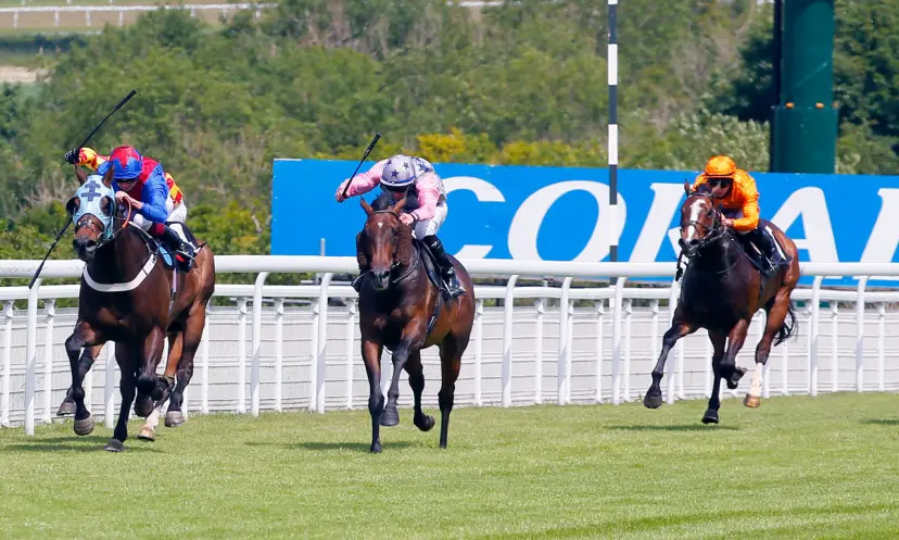 Coral, St Leger Festival 2022, horse racing