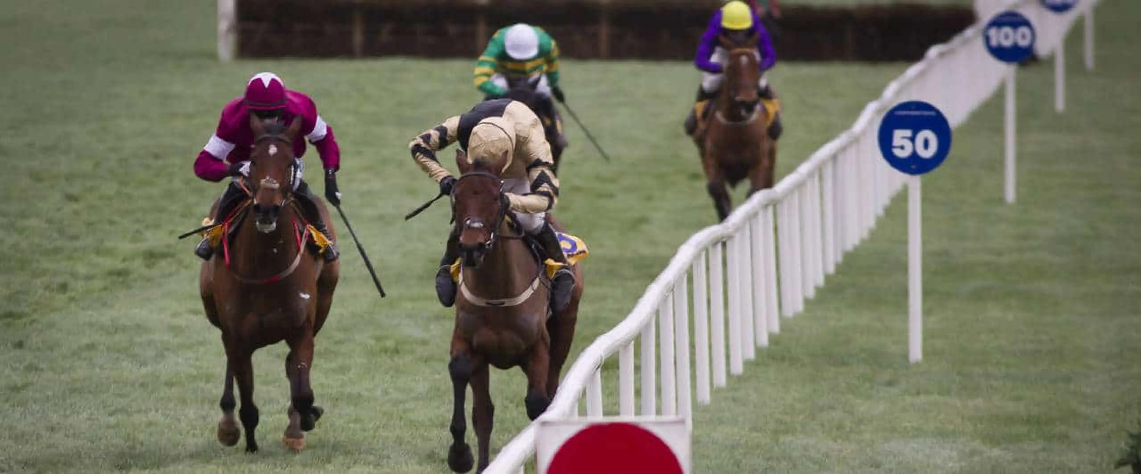 Nichols Canyon odds and Identity Thief bets are among Punchestown tips for November 20.