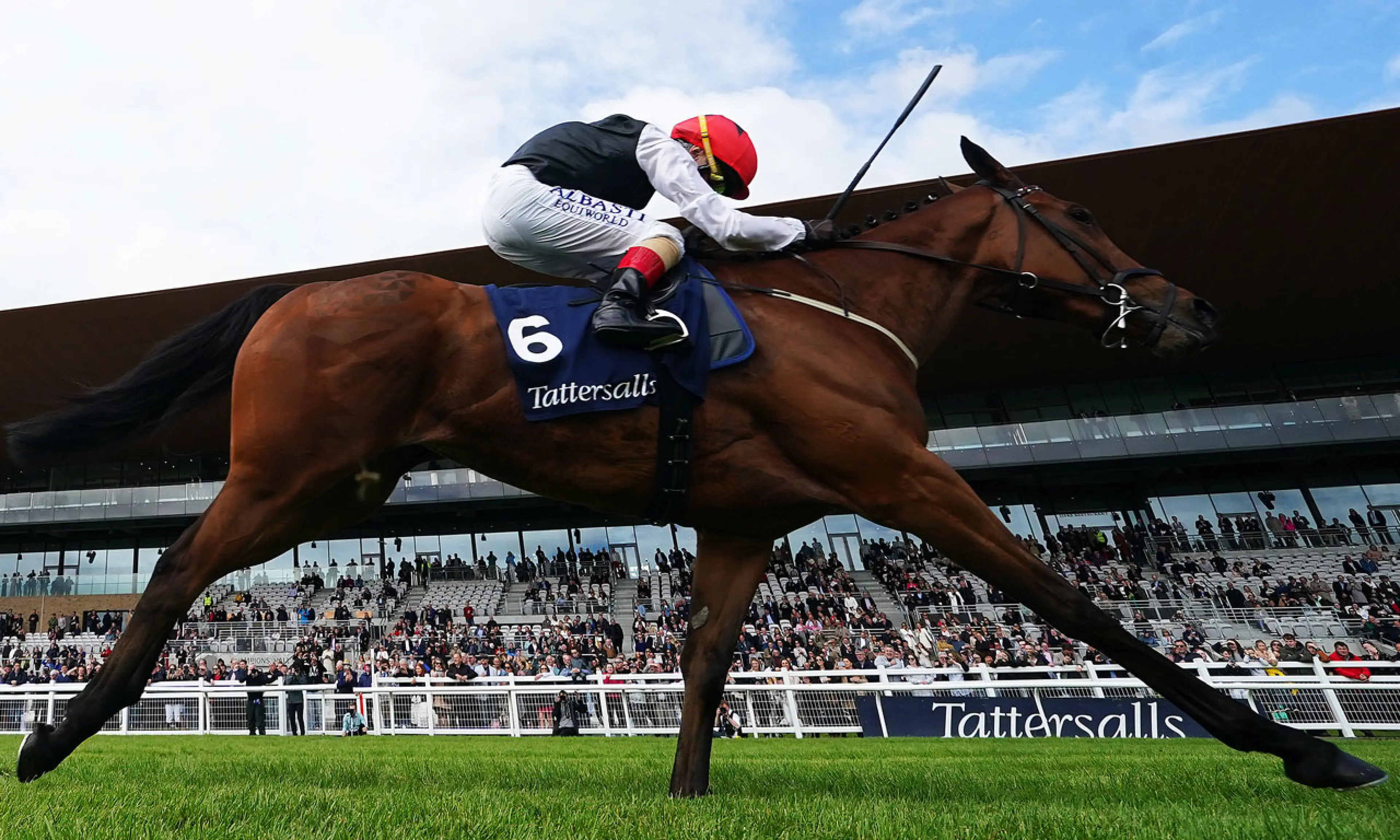 Homeless Songs, Sun Chariot Stakes, horse racing