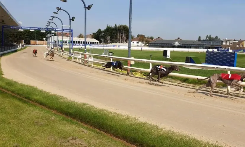 Coral Golden Sprint