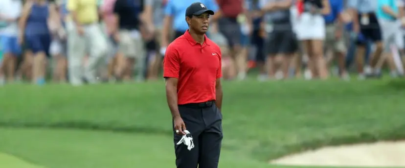 Tiger Woods Golf