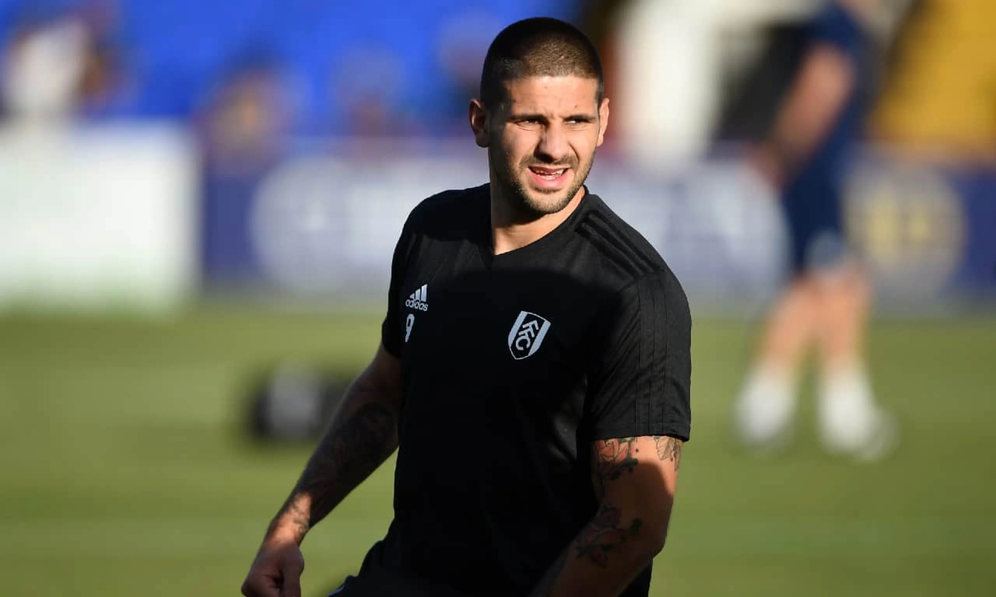 Aleksandar Mitrovic, Fulham, promotion and relegation
