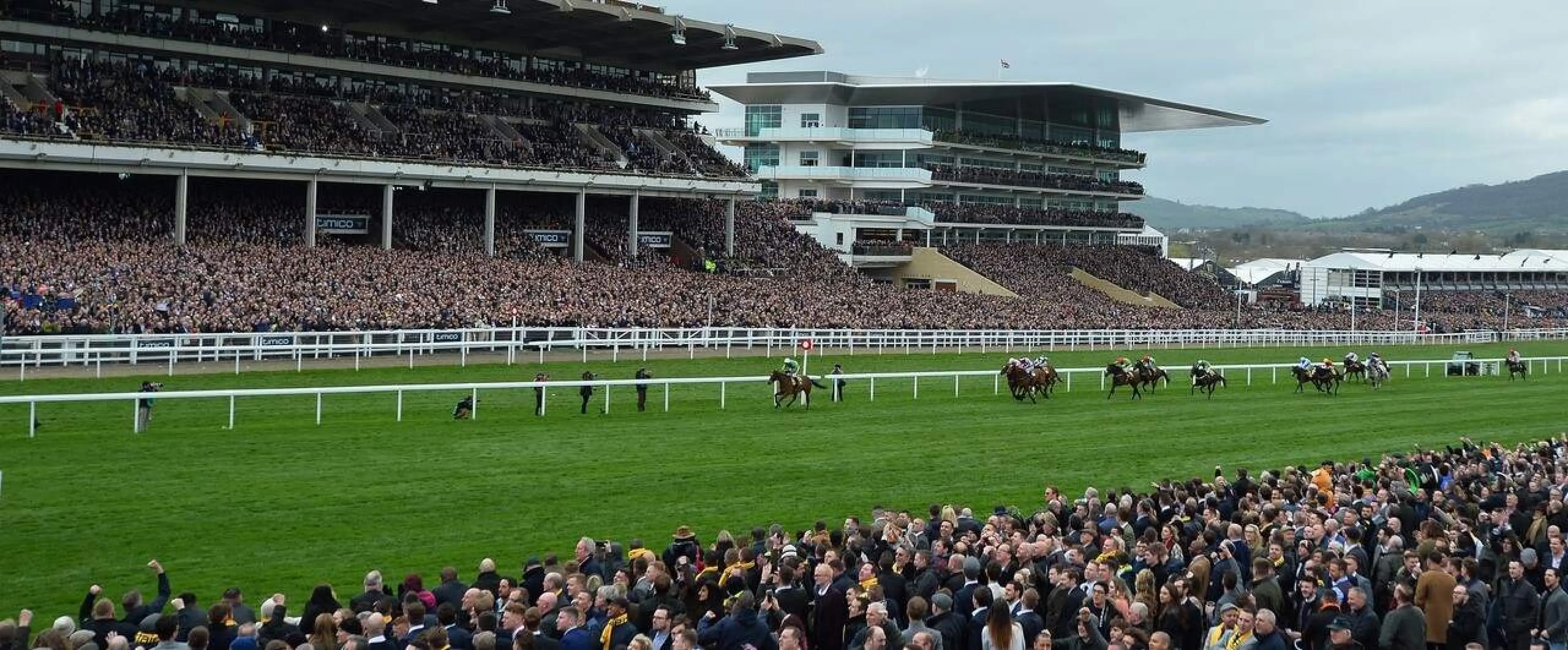 Cheltenham Festival Guide 2019: history, info and race schedule