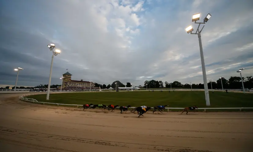 Towcester, greyhound Derby Final
