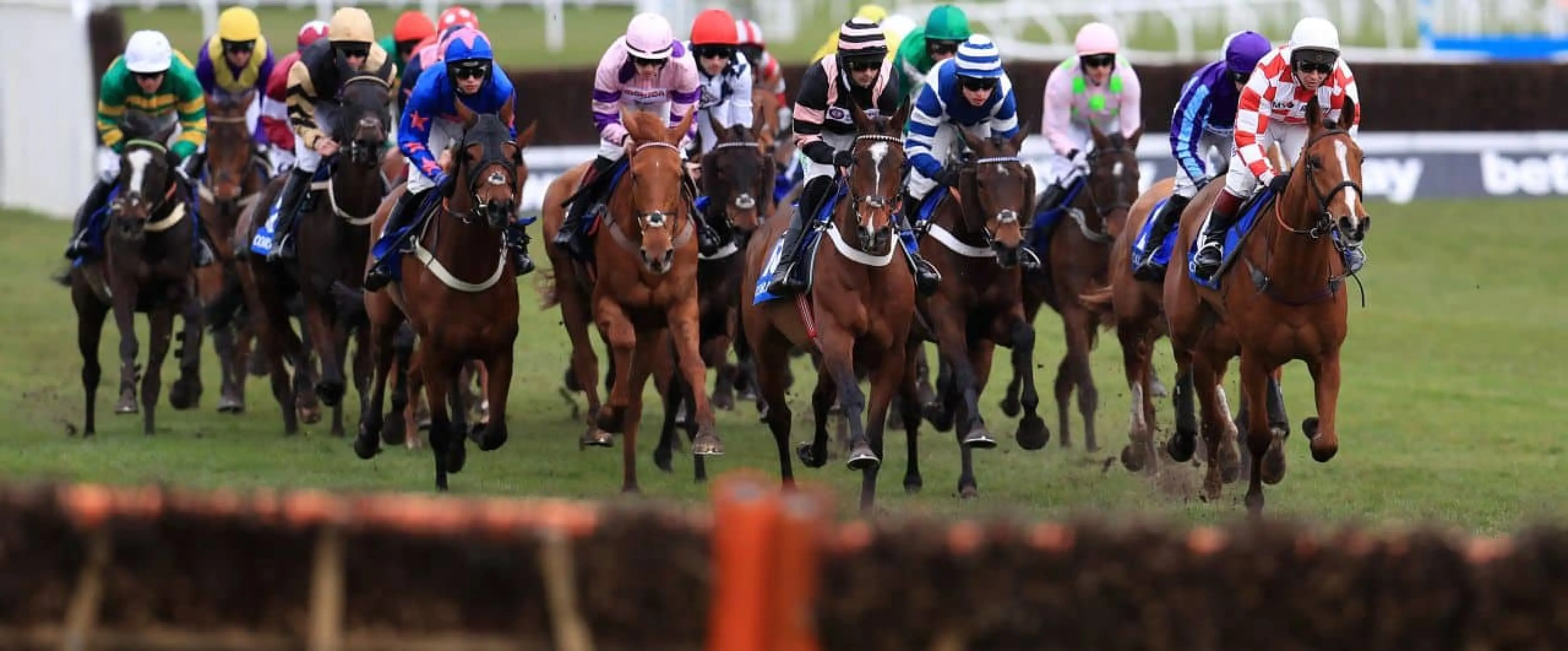 Coral Cup runners