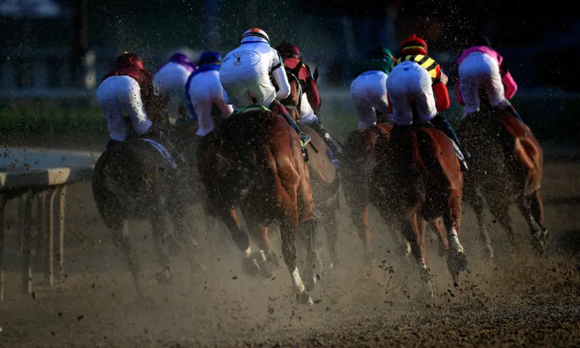 Breeders' Cup races, horse racing