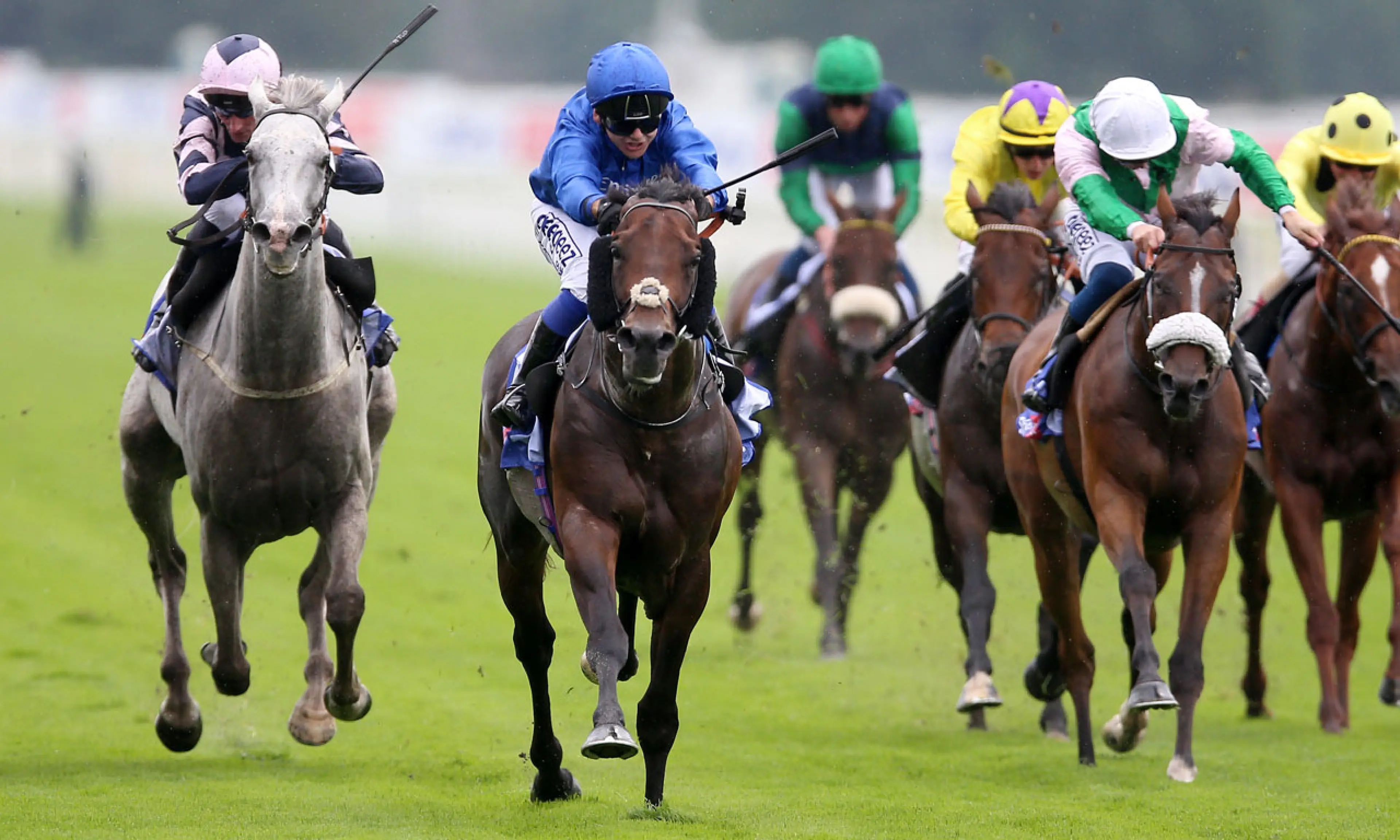 Real World, Coral-Eclipse, horse racing