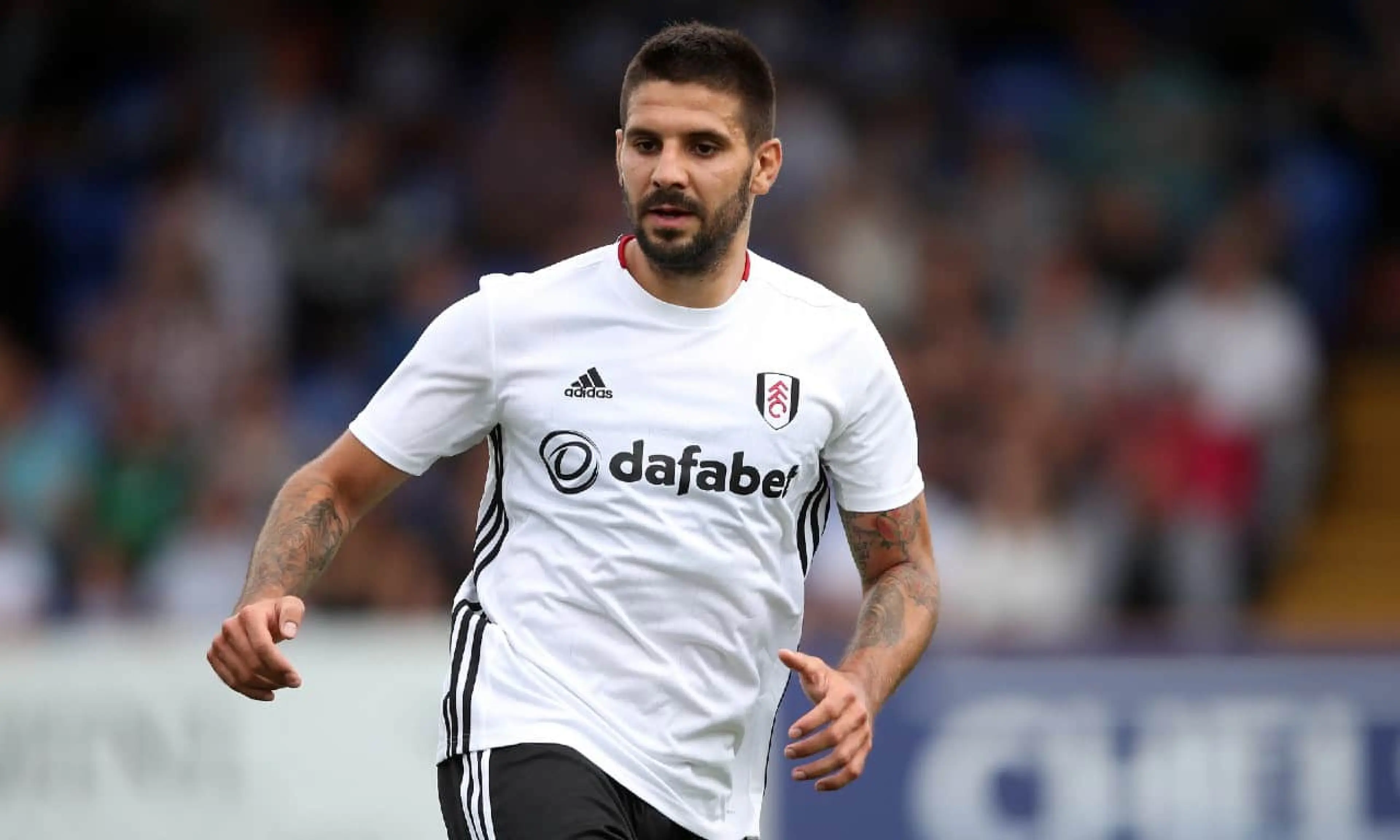 Aleksandar Mitrovic, Fulham, Championship betting tips