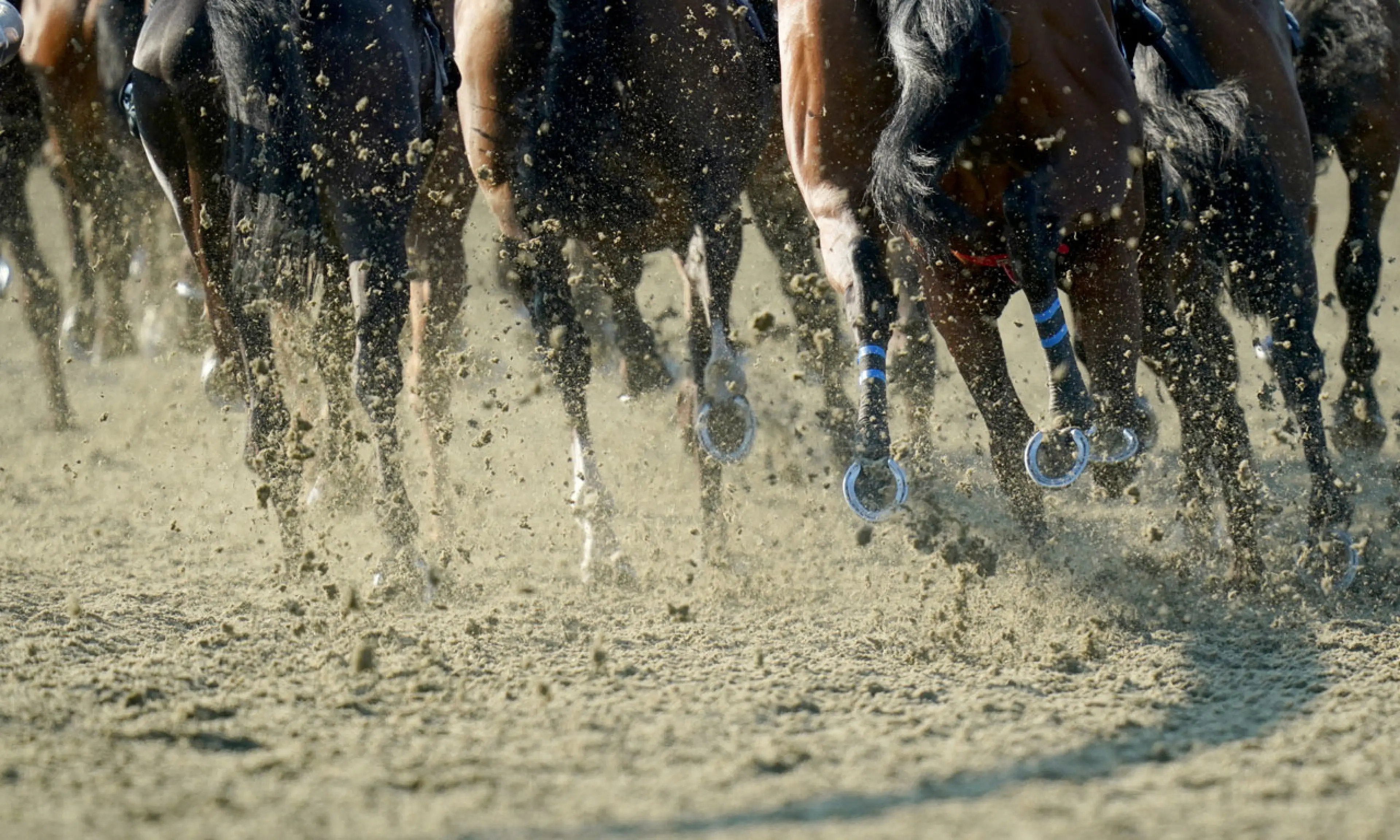 horse racing films