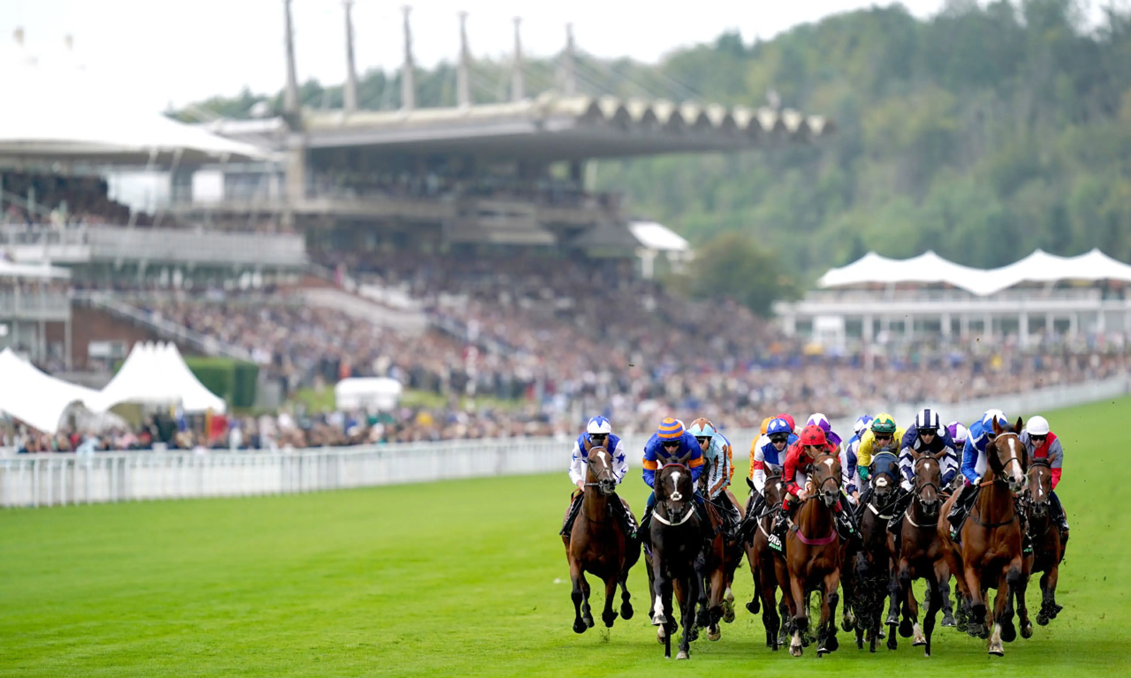 Qatar Goodwood Festival 2022, Glorious Goodwood, horse racing