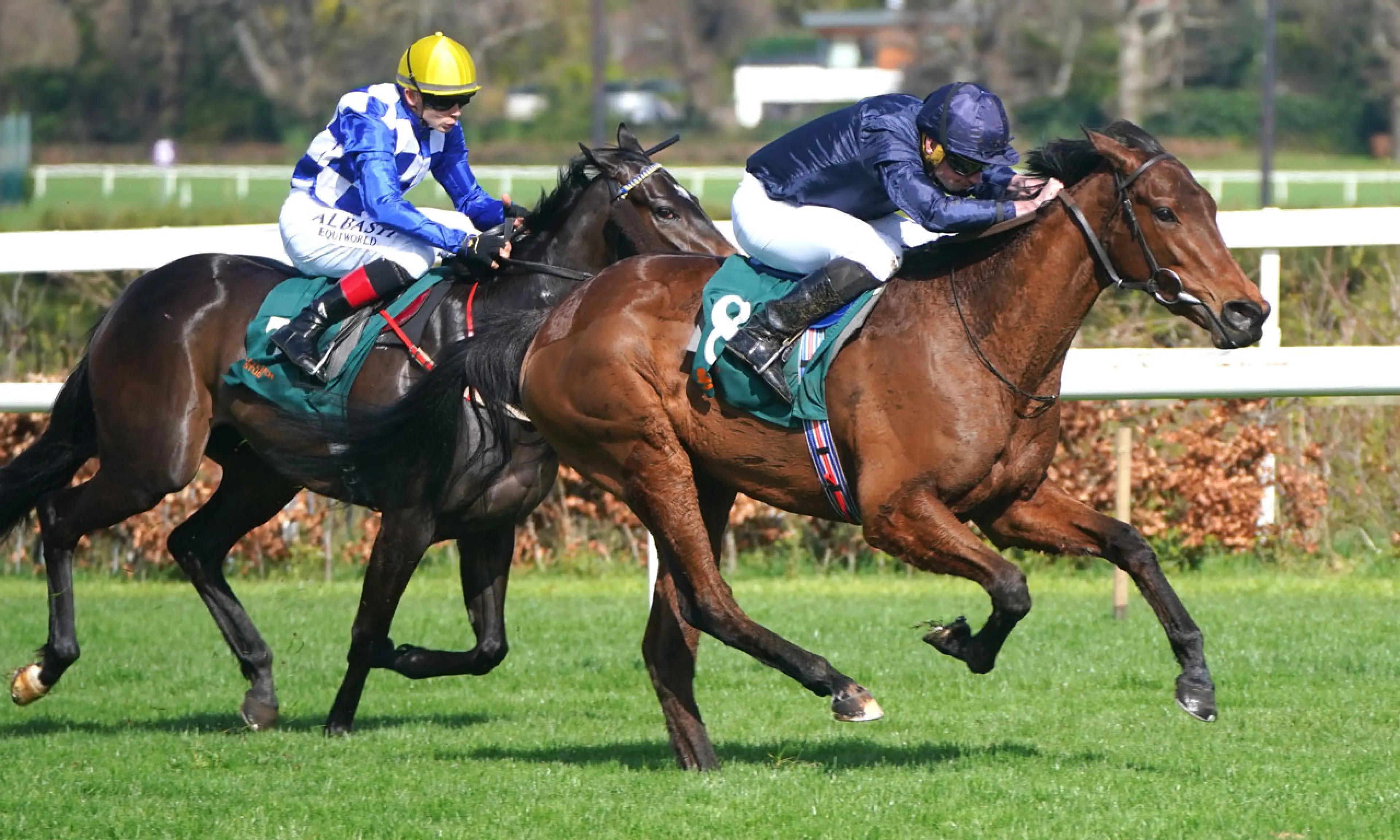 Never Ending Sory, horse racing