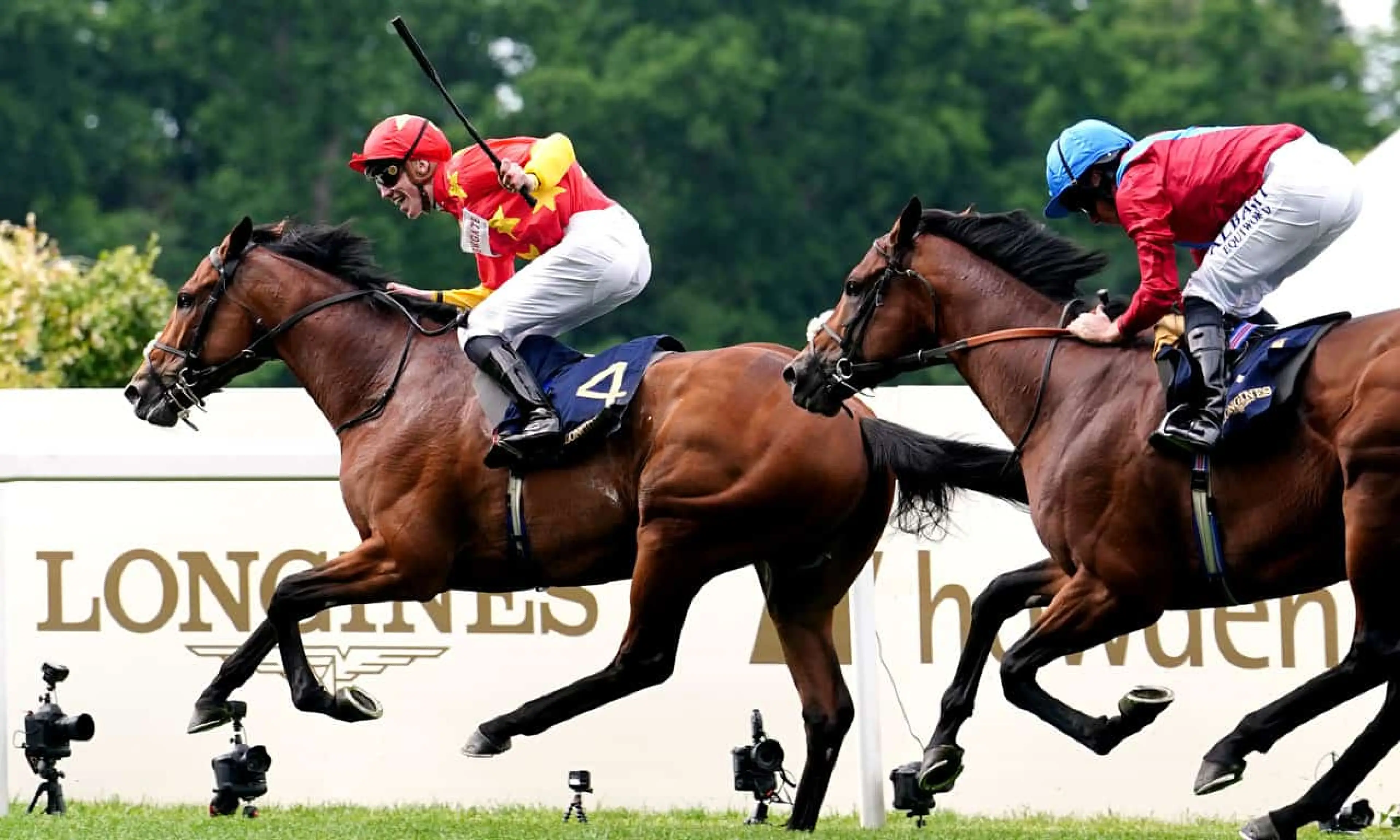 State of Rest, Juddmonte International Stakes, Ebor Festival 2022, horse racing