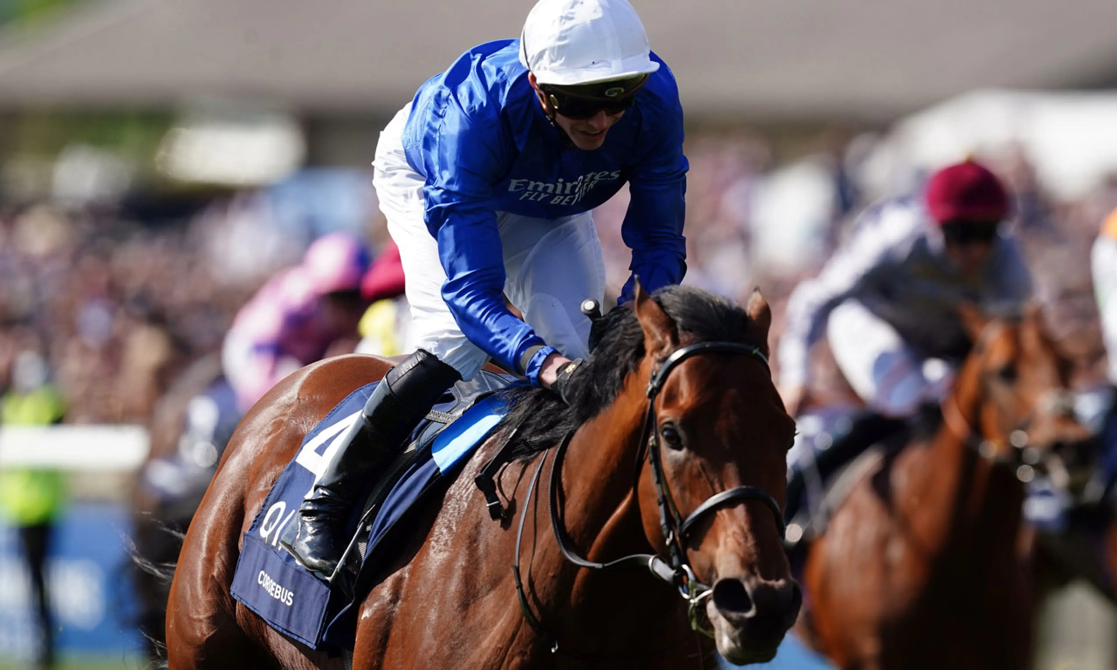 Coroebus, Sussex Stakes, Goodwood, horse racing